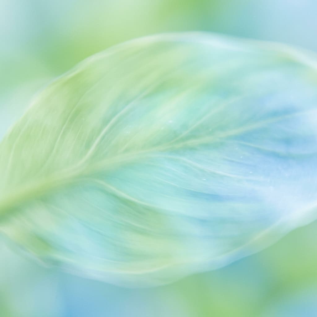 Blog Background